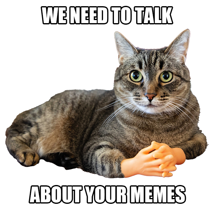 Funny cat example meme from Meme Maker Pro