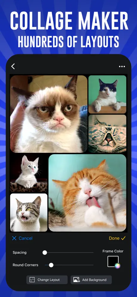 Meme Maker Pro Screenshot - Text Options